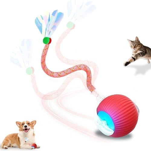 Interactive Cat Toys Ball for Indoor Cats＆Dogs,Automatic Cat Toy 360° Auto-Rotation Smart Obstacle Avoidance,Includes 4 Cat Spiral Spring,Cat Enrichment Toys for Indoor Cats (Red-1)