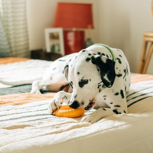 Playology Dual Layer Ring Dog Toy for Aggressive Chewers, Cheddar Scent