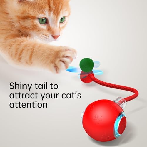 Interactive Dog Cat Toys, Automatic Moving Cat Toys for Bored Indoor Adult Cats, Fast Rolling, Chirping & Motion-Activated Kitty Toys, Fun Gift for Dogs/Cats, USB Rechargeable (Red)