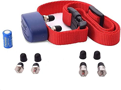 Underground Electric Dog Fence Kit, Standard, 2-Dog, 500 ft