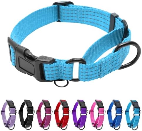Martingale Dog Collar, Reflective No Pull with Buckle, Sky Blue, M