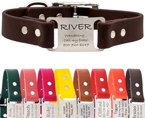 dogIDs Personalized Dog Collar – ScruffTag Custom Waterproof Biothane Dog Collar with Laser-Engraved Name, Durable & Odor-Resistant – USA Made | Brown, 1 in x 20 in (Fits Neck Sizes 18-22 in)