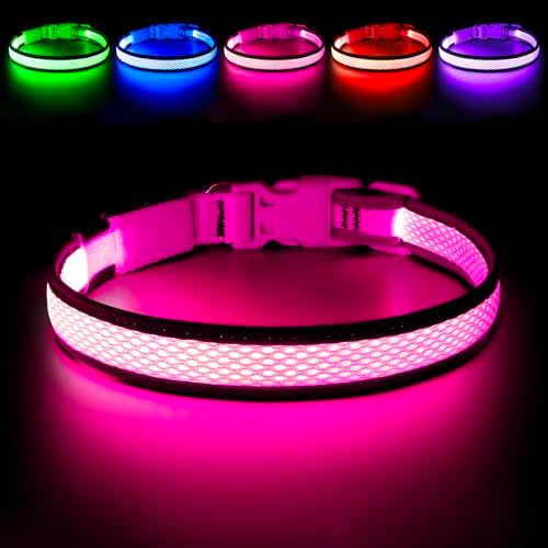 Flashseen LED Dog Collar, Light Up Dog Collar USB Rechargeable, Pink, S