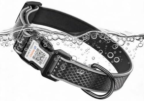 Reflective Dog Collar with QR Code Tag, Black, S (9.8"-15.7")