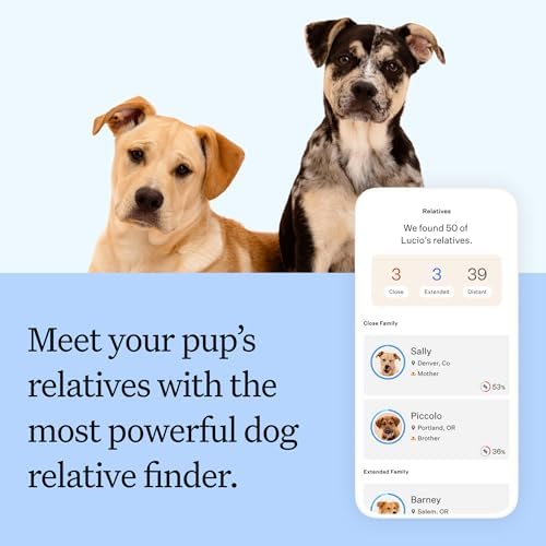 Wisdom Panel Breed Discovery Dog DNA Testing Kit - Most Accurate Dog Breed Identification - Test for 430+ Breeds, MDR1 Health Test, Ancestry, Relatives