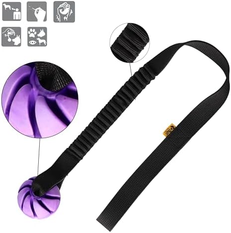 Dingo Dog Ball with Long Bungee Handle, Natural Rubber, Color May Vary 27in