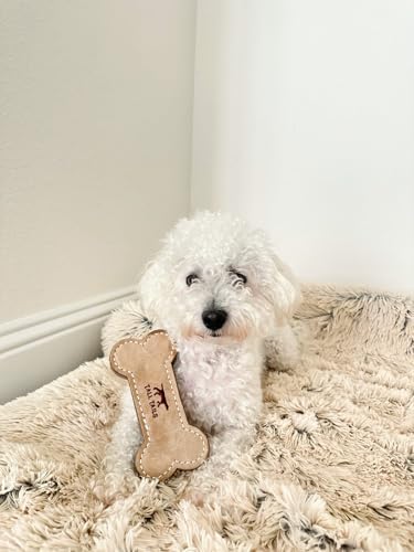 Tall Tails Dog Natural Leather Bone Fetch Toy for Dogs