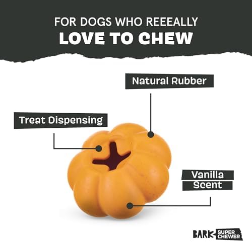 BarkBox Squash Dog Toy
