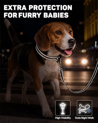 Padded Dog Collar with Waterproof Holder Compatible with Airtag