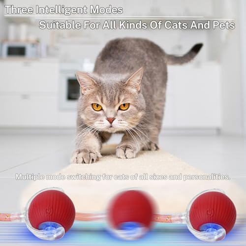 Smart Cat Ball Toy, Interactive & Rechargeable for Daily Play | moving cat toy|interactive dog toys|Adjustable sound level|300 mA high-capacity battery