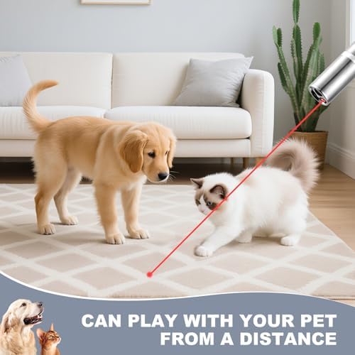 Cat Laser Pointer Toy, 3 Light Modes, 5 Fun Patterns, 2 Pack