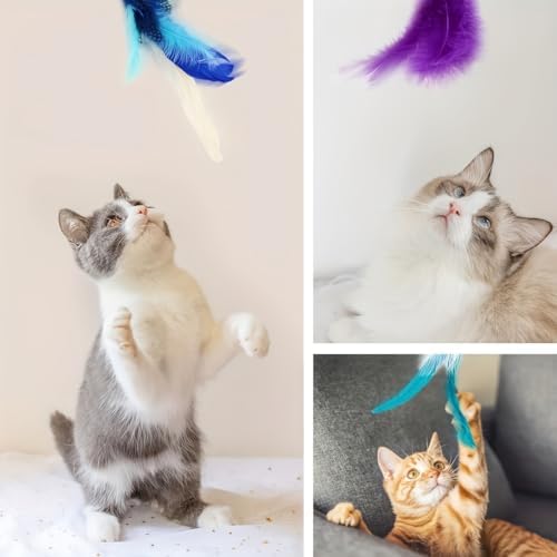Door Hanging Cat Toys with Suction Cups, Interactive Hanging Feather & Plush Cat Toy with Bell, Assorted Replaceable Refills for Indoor Kitten Hunting Exercise & Boredom Relief (5 Pcs Assorted)