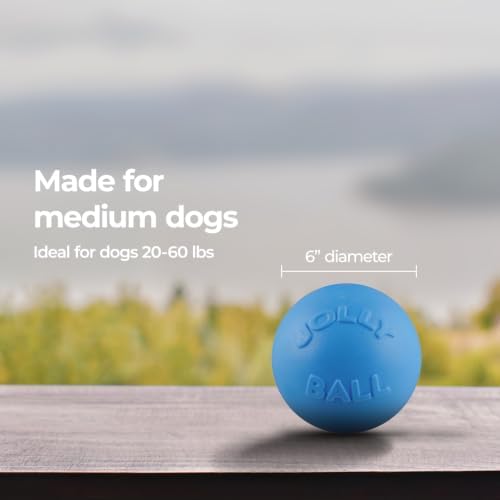 Jolly Pets Bounce-n-Play Dog Toy Ball, 6 Inches, Blueberry, All Breed Sizes