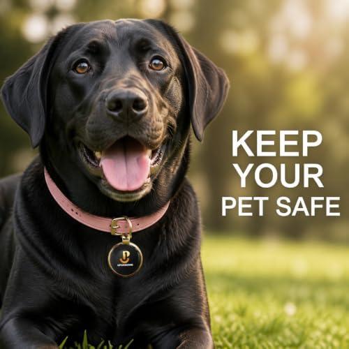 Premium Gold Personalized Pet ID Tag with NFC & QR Code: Silent, Waterproof & Durable Pet Tracker for Dogs & Cats - Instant Location Alerts