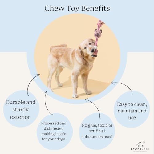 Natural Jute Dog Chew Toy – Tough & Durable Plant-Shaped Puppy Toy, Safe Teething Chew, Interactive Training & Play Toy for Small, Medium & Large Dogs