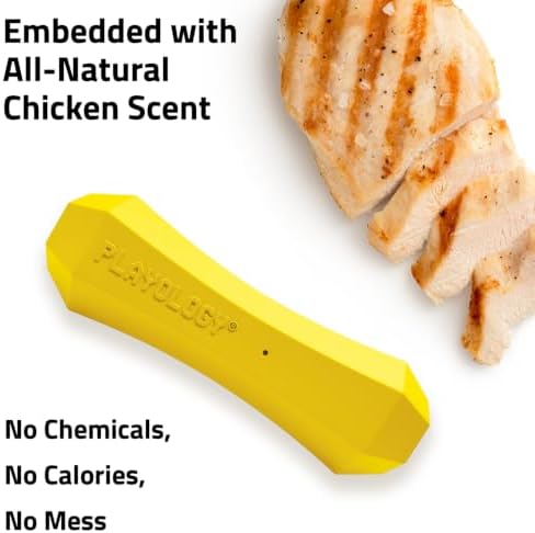 Playology Squeaky Chew Stick - Scented Dog Toy - Medium, Chicken Scent