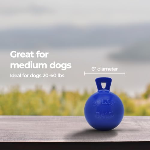 Jolly Pets Tug-n-Toss - Heavy Duty Chew Ball w/ Handle (Blue, 6") for Medium Breeds