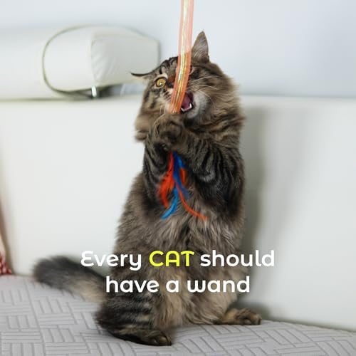 Cat Toys for Indoor Cats, Interactive Wand Toy 3 Pack with Feather and Bell