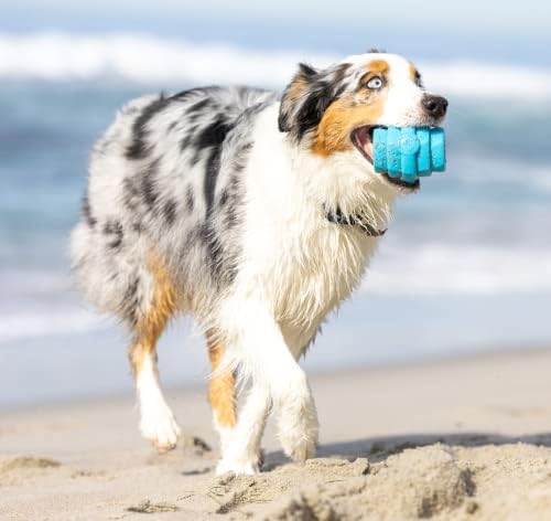 Hive Chew Toy for M/L Dogs – Blue/Soothing Vanilla Scent – Chew, Fetch, & Treat-Dispensing Enrichment Toy, Floats, Made in USA, Pairs with Hive Chew Sticks for M/L Dogs for Longer-Lasting Play
