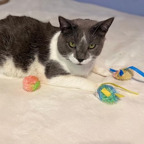 SPOT Stringy Mice & Balls - Catnip Cat Toys, Interactive, Colorful Plush Toys, Fun for Cats and Kittens to Bat and Chase, Boredom Buster - 2 Mice, 2 Balls