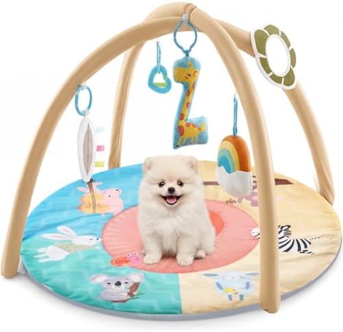 Dog Cat Play Gym with Squeaky Toys, Pet Activity Pad, 30x20