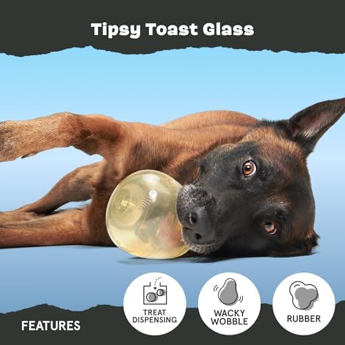 BarkBox Tipsy Toast Glass - for Medium to Large Dogs