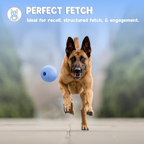 Foam Fetch Ball for Dogs – Durable EVA Foam Dog Ball, Interactive Chew Toy for Dogs, Lightweight Floating Ball for Water, Pool & Outdoor Fetch Games (Blue, Medium)