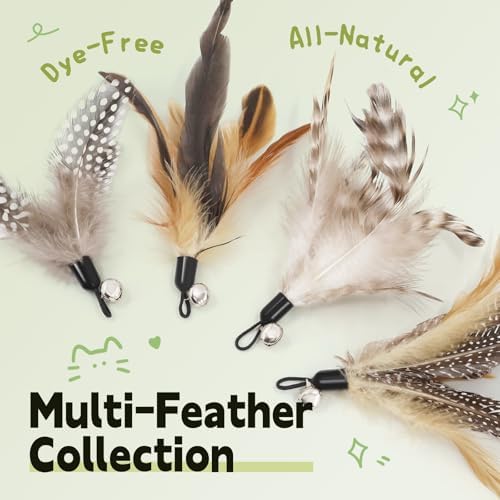 SONGWAY Interactive Cat Feather Toys - Cat Wand Toy Set with Retractable Teaser Wand and 6 PCS Natural Feather Refills, Da Bird Cat Toys for Indoor Cats Kittens