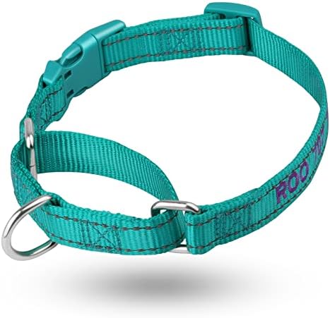 Personalized Martingale Dog Collar-Reflective Martingale Collars with Buckle, Custom Training Martingale Dog Collars Embroidered with Name and Phone Number for Small Medium Large Dogs