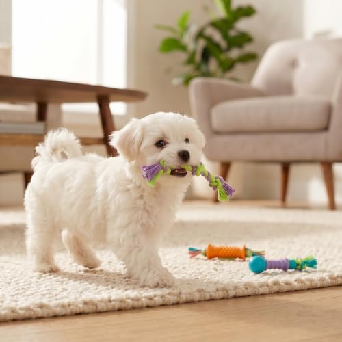 Dental Chew Pack Mini Dog Chew Toys, 7", 3-Pack