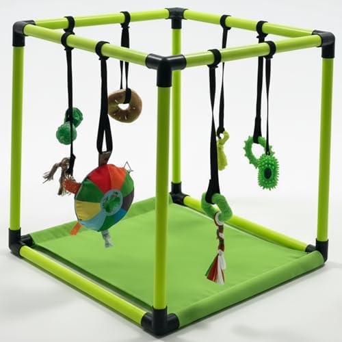 Race&Herd 19.5" Puppy Play Gym — Small Dog Jungle Activity Mat (Lime)