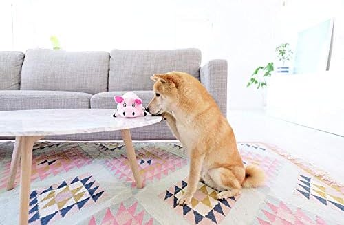 Outward Hound Fattiez Squeaky Plush Dog Toy, Pig, Small, 6.8"