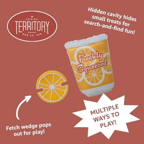 Territory 2 in 1 Plush Squeaker Removable Natural Rubber Fetch Dog Toy for Small Medium Large Dog Toys, Hurricane