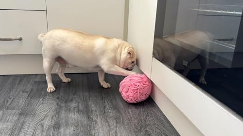 Glory To Dog Medium Breed Snuffle Foraging Dog Puzzle Ball Toy Pink Large
