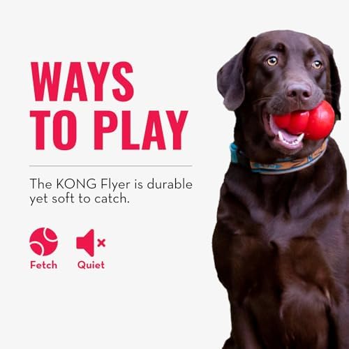 KONG Flyer - Durable Dog Toy for Outdoor Playtime - Natural Rubber Flying Disc, Dog Toy for Fetch - Safer Disc for Healthy Activity - for Small Dogs (Pack of 3)