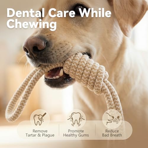 Puppy Chew Toys for Teething, Durable Dog Rope Toys for Small and Medium Dogs, Interactive Chew Rope for Training, M Size