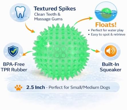 Squeaky Spiky Dog Ball for Teeth Cleaning & Gum Massage 2.5 Inch Small Medium Dogs Green | Spiny TPR Rubber Chew Toy for Fetch Play Interactive Bouncy Dental Ball Durable BPA Free Nontoxic Floats