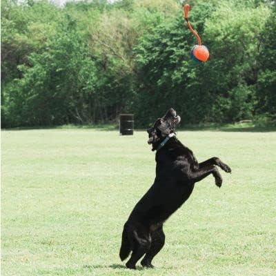 Chuckit! Rope Fetch Dog Toy, Ball on Rope, Durable EVA Rubber, 5.5-in