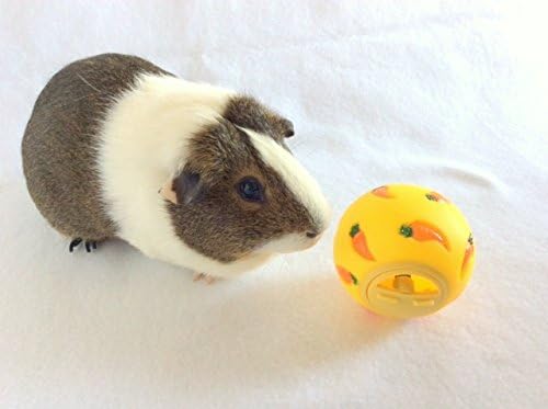 Treat Ball Toy for Guinea Pigs, Rabbits, Hedgehogs and Other Small Pets, 7 cm, Yellow, Adjustable Opening Treat Toy New