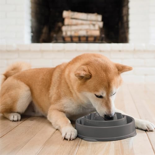 Outward Hound Fun Feeder Slo Bowl Dog Slow Feeder, Drop, Gray, 8.8"