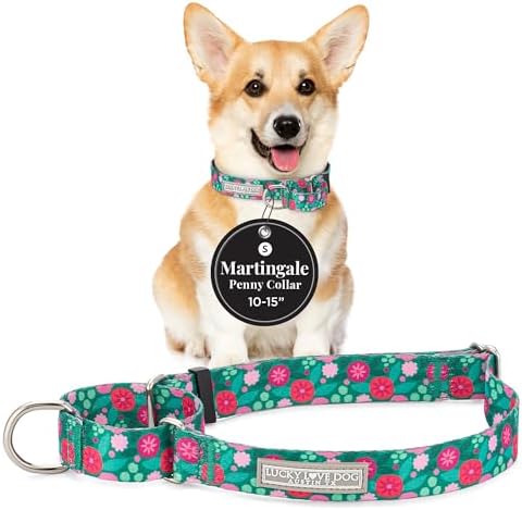 Lucky Love Dog Martingale Collar for Small Dogs No Slip Cute – Penny, Small