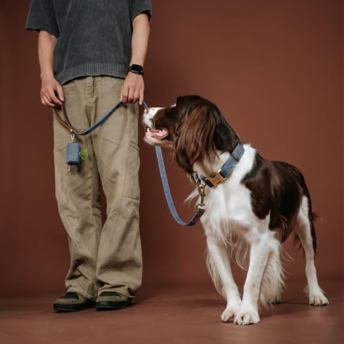 Personalized PU Leather Dog Collars, Quick Release Buckle, Blue,L