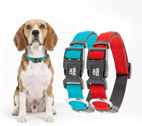 Dog Collar Bundle | Red Large Dogs (Width- 1.25", Neck - 18"-26") & Medium Turquoise (Width- 3/4" Length 17"-21.5") | Adjustable Padded Collars with Heavy Duty O-Ring | Soft & Comfortable Fit