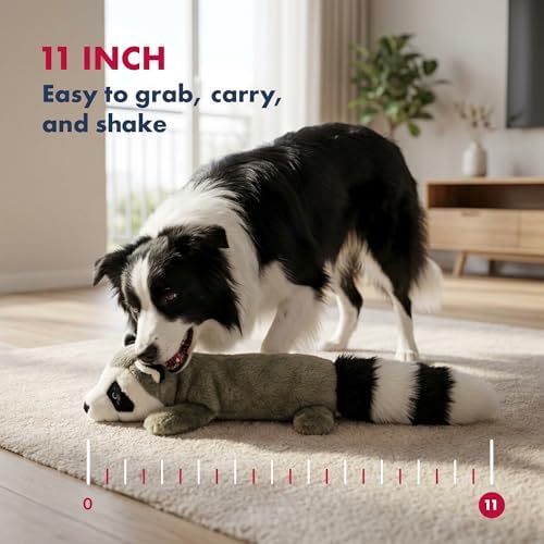 PetLou 01011 EZ Squeakers Dog Chew Toy,11-inch Raccoon