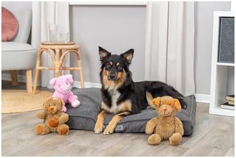 TRIXIE Be Eco Enno The Dog Plush Dog Toy for All Dogs, 16" Fun and Cuddly No Sound Dog Toy, 98% Recycle Material