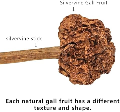miwoowim 4PCS Silvervine Cat Sticks & Gall Fruit, Natural Dental Chew Toy