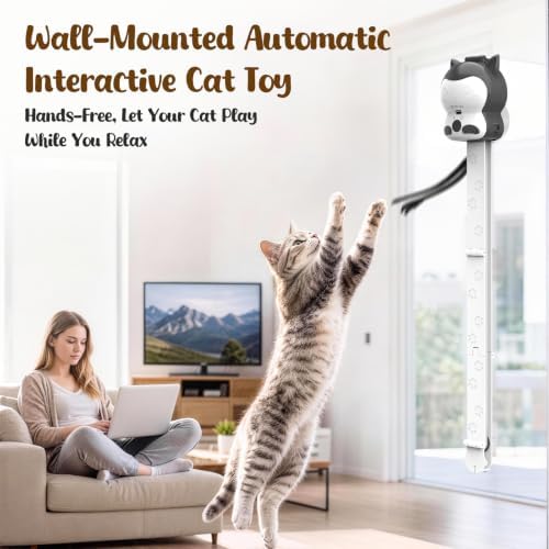 2-in-1 Electric Interactive Cat Chase Bounce Teaser Toy for Indoor Cats
