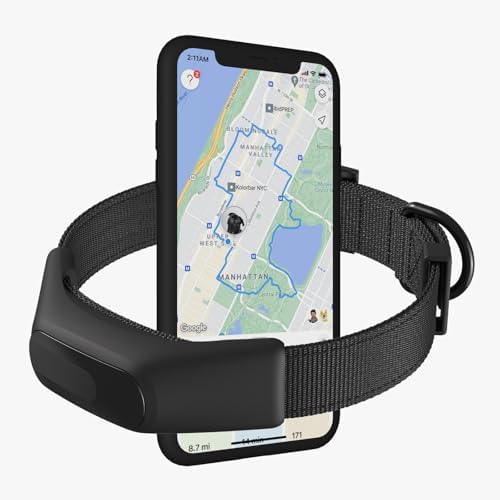 Averia Collar - Reliable GPS and Activity Tracker for Dogs