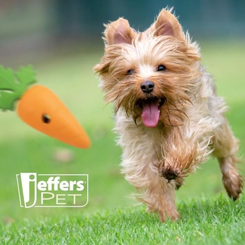 Jeffers Pet Natural Rubber Dog Chew Toy – Baby Carrot, Small – Treat Dispensing, Vanilla Scent, Durable, Non-Toxic, Dishwasher Safe, Interactive Fetch & Tug Toy - Perfect for Training