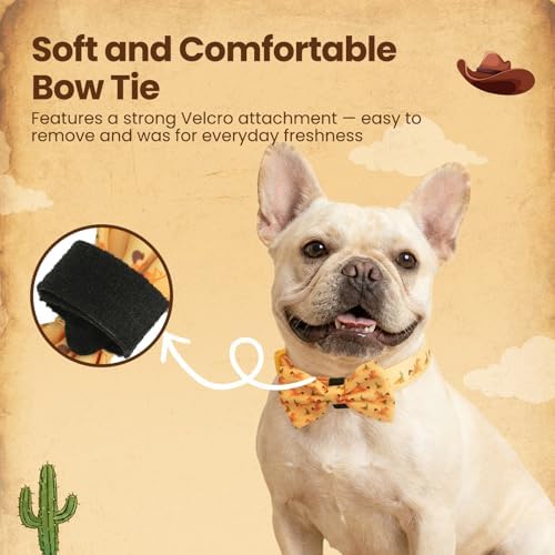 French Bulldog Polyester Dog Collar and Leash Set with Bowtie, Smart & Safe Design, Includes 1 ID Tag + 3 Frenchie Dog Tags for Instant Location & 2 Sticker Sheets, Stylish Gift Set,S